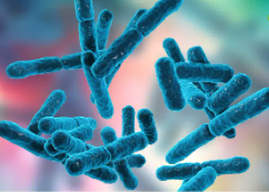 Bright blue Bifidobacterium set against a pretty background